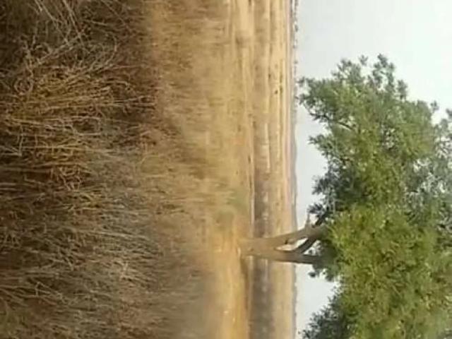 Land for sale in North Waziristan, Federally Administered Tribal Areas fata