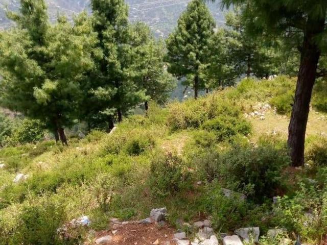 Land for sale in Abbottabad, North West Frontier Province