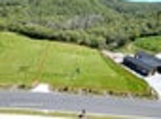 Land for sale in Kinloch, Waikato