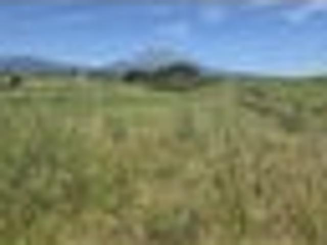 Land for sale in Taranaki