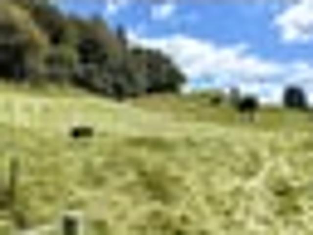 Land for sale in Bay Of Plenty