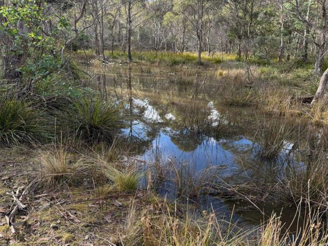 Land for sale in Swanston, Tasmania