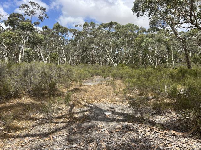 Property for sale in Lucindale, Naracoorte Lucindale Council