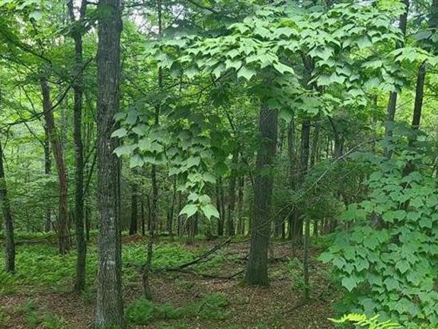 Land for sale in West Virginia