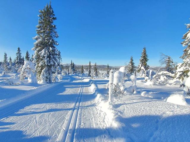 Hus till salu
