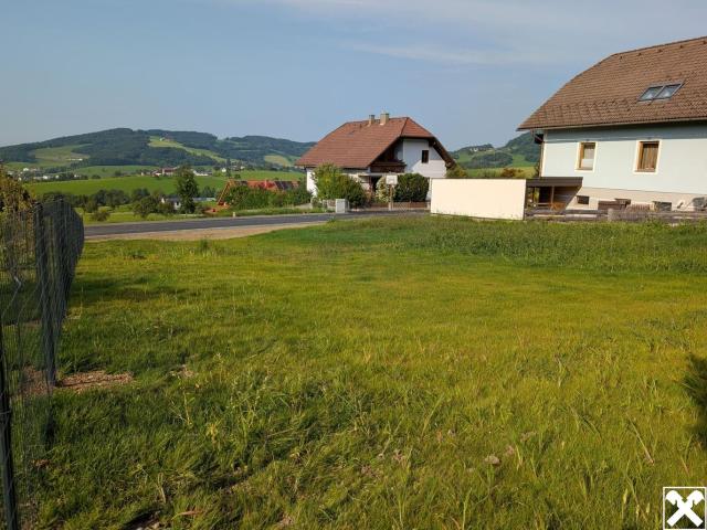 Grundstück kaufen in Texing, Niederösterreich