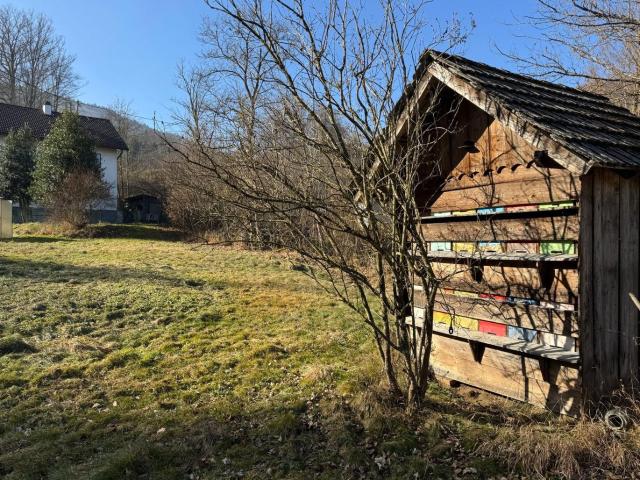 Haus kaufen in Pinsdorf, Oberösterreich