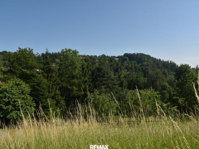 Grundstück kaufen in Pinsdorf, Oberösterreich