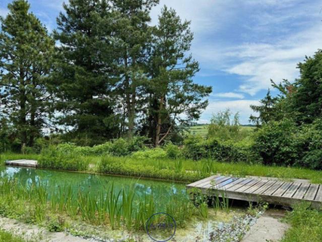 Immobilie kaufen in Bergern im Dunkelsteinerwald, Niederösterreich
