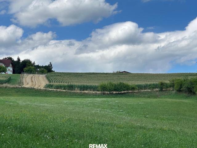 Landwirtschaft kaufen in Edelstauden, Steiermark
