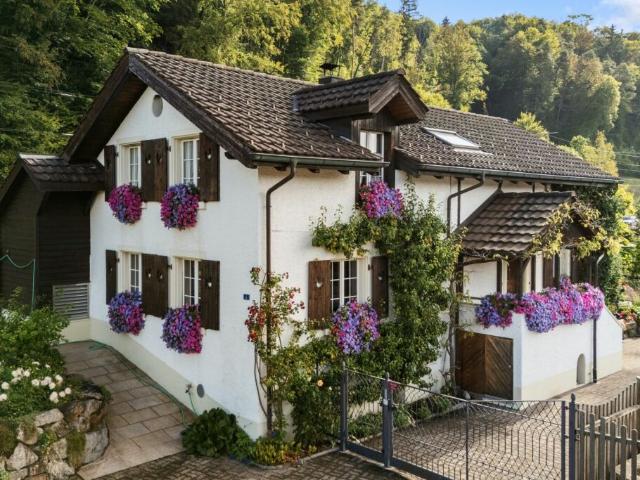 Einfamilienhaus kaufen in Zell (ZH), Zürich