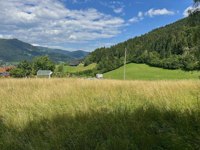 Immobilie kaufen in Hinterbuchholz, Arriach
