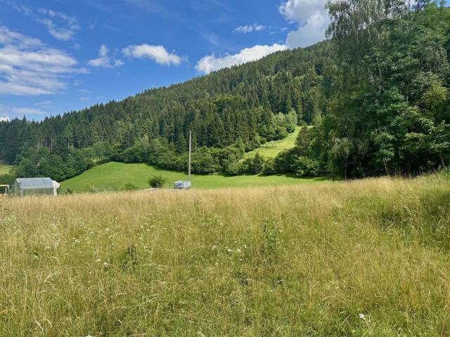 Grundstück kaufen in Hinterbuchholz, Arriach