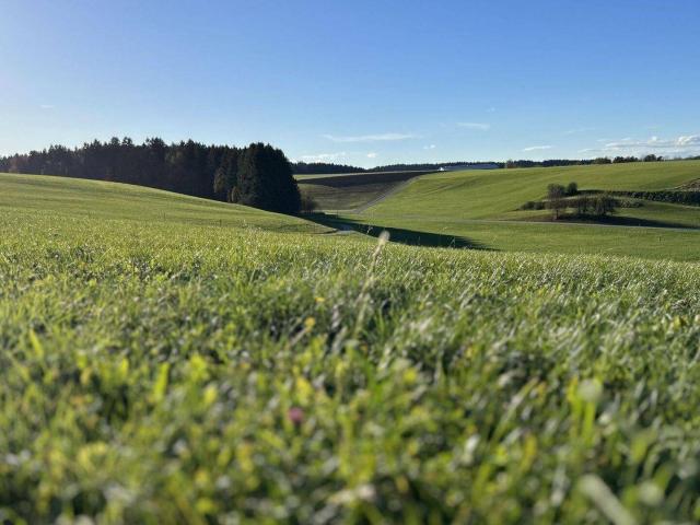 Immobilie kaufen in Gampern, Oberösterreich