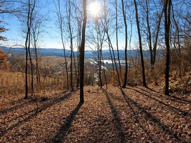 Grundstück kaufen in Korneuburg, Niederösterreich