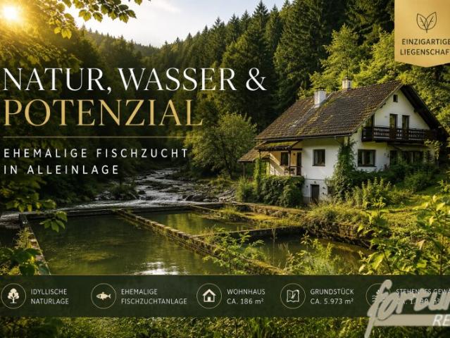 Einfamilienhaus kaufen in Hofamt Priel, Niederösterreich