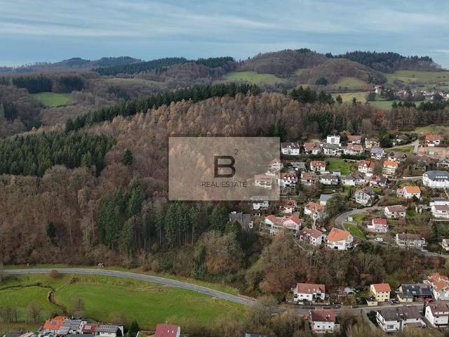Erdgeschosswohnung kaufen in Schriesheim, Rhein-Neckar-Kreis