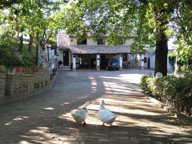 Appartamento in affitto a Trecastelli, Marche