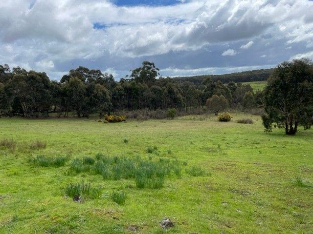 Land for sale in Staffordshire Reef, Victoria