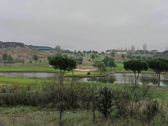 Terreno en venta en Campo de Golf-Polígono 13, Cabanillas Del Campo