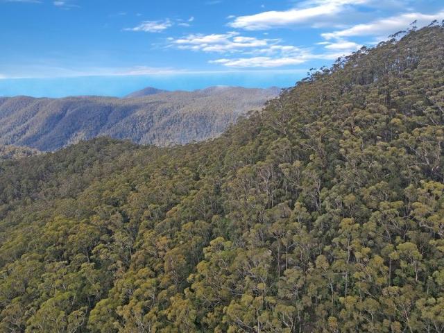 Land for sale in St Marys, Tasmania