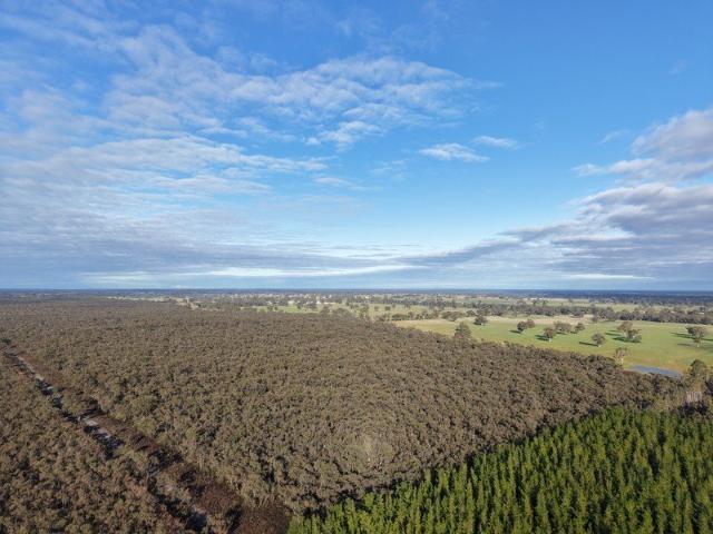 Cottage for sale in Edenhope, Victoria