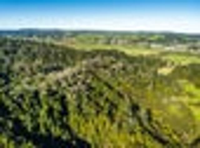 Land for sale in Karetu, Northland
