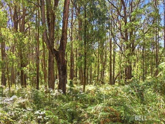 Land for sale in Camerons Creek, Victoria