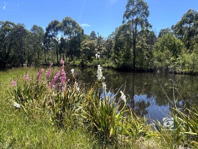 Land for sale in Buchan South, Victoria