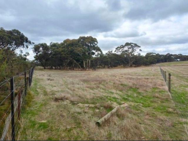 Land for sale in Mundulla, South Australia
