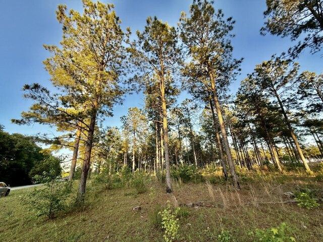 Land for sale in Blackville