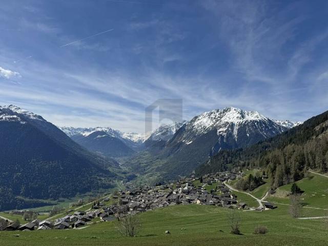 Haus kaufen in Levron, Wallis