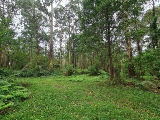 Land for sale in Kinglake, Shire of Murrindindi