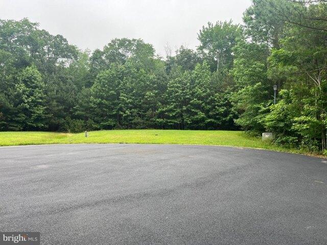 Land for sale in Selbyville