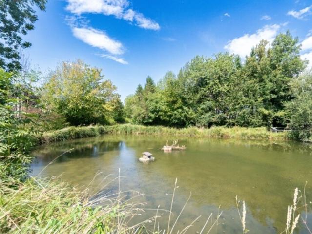 Grundstück kaufen in Neuhofen an der Krems, Bezirk Linz-Land