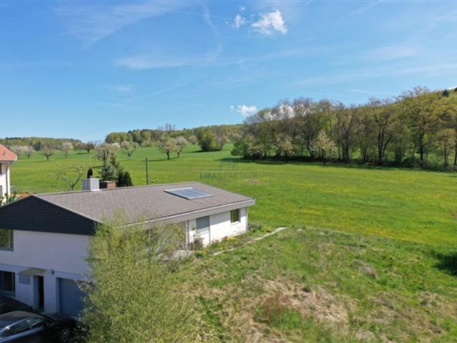 Einfamilienhaus kaufen in Hochwald, Solothurn