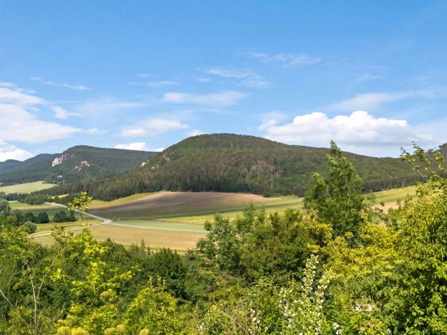 Haus kaufen in Hohewand, Niederösterreich