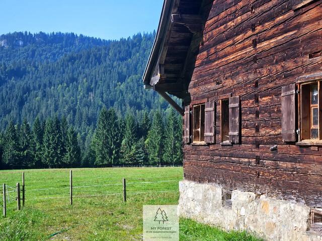 Immobilie kaufen in Sibratsgfäll, Vorarlberg