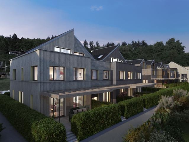 Reihenfamilienhaus kaufen in Teufenthal (AG), Aargau