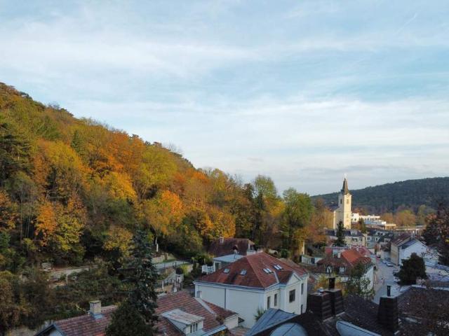 Grundstück kaufen in Liesing, Wien