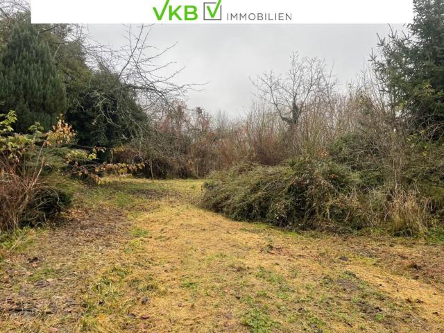 Grundstück kaufen in Alberndorf in der Riedmark, Oberösterreich