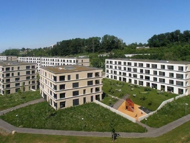 Wohnung mieten in Adliswil, Zürich