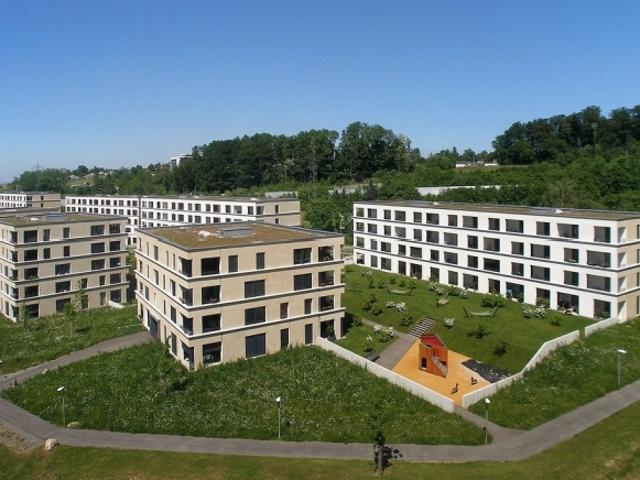 Wohnung mieten in Leberen, Adliswil