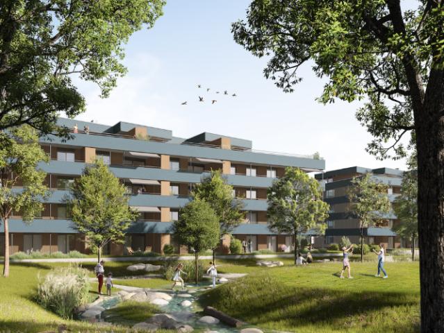 Apartment mieten in Reinach, Bezirk Kulm