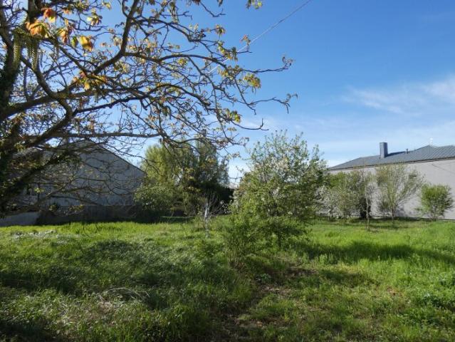 Grundstück kaufen in Frauenkirchen, Burgenland