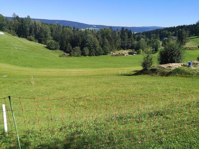 Immobilie kaufen in Aigen im Mühlkreis, Oberösterreich
