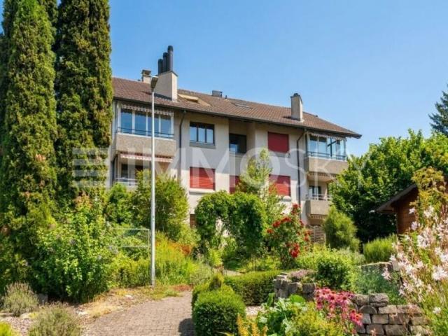 Wohnung kaufen in Moosleerau, Aargau