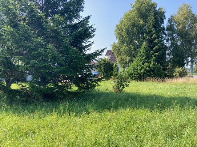 Grundstück kaufen in Koblach, Vorarlberg