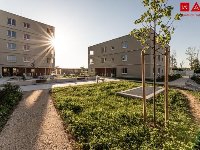 Wohnung mieten in Gunskirchen, Bezirk Wels-Land