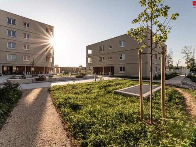 Wohnung mieten in Bezirk Wels-Land, Oberösterreich